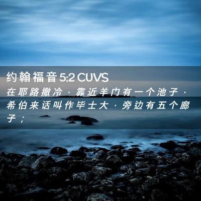 Picture 02 - 约 翰 福 音 5:2 CUVS - 在 耶 路 撒 冷 ， 靠 近 羊 门 有 一 - Bible Verse Picture