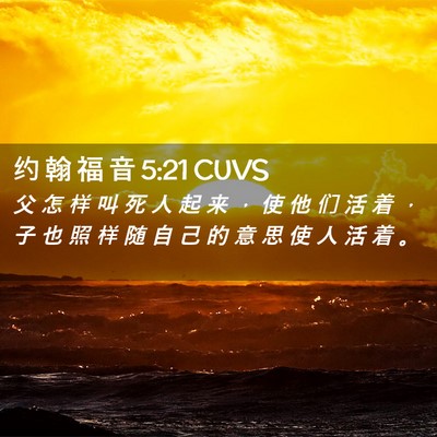 Picture 02 - 约 翰 福 音 5:21 CUVS - 父 怎 样 叫 死 人 起 来 ， 使 他 们 - Bible Verse Picture