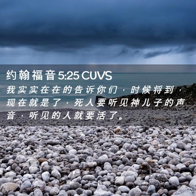 Picture 02 - 约 翰 福 音 5:25 CUVS - 我 实 实 在 在 的 告 诉 你 们 ， 时 - Bible Verse Picture