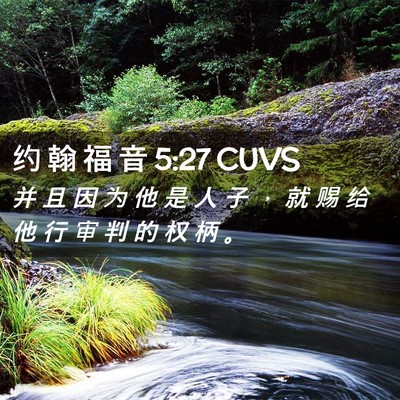 Picture 02 - 约 翰 福 音 5:27 CUVS - 并 且 因 为 他 是 人 子 ， 就 赐 给 - Bible Verse Picture
