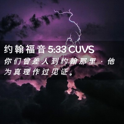 Picture 02 - 约 翰 福 音 5:33 CUVS - 你 们 曾 差 人 到 约 翰 那 里 ， 他 - Bible Verse Picture