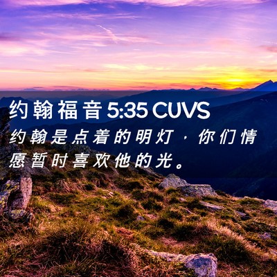 Picture 02 - 约 翰 福 音 5:35 CUVS - 约 翰 是 点 着 的 明 灯 ， 你 们 情 - Bible Verse Picture