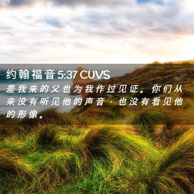 Picture 02 - 约 翰 福 音 5:37 CUVS - 差 我 来 的 父 也 为 我 作 过 见 证 - Bible Verse Picture