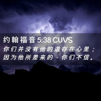 Picture 02 - 约 翰 福 音 5:38 CUVS - 你 们 并 没 有 他 的 道 存 在 心 里 - Bible Verse Picture
