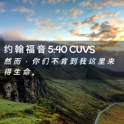 Picture 02 - 约 翰 福 音 5:40 CUVS - 然 而 ， 你 们 不 肯 到 我 这 里 来 - Bible Verse Picture