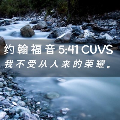 Picture 02 - 约 翰 福 音 5:41 CUVS - 我 不 受 从 人 来 的 荣 耀 - Bible Verse Picture