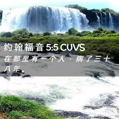 Picture 02 - 约 翰 福 音 5:5 CUVS - 在 那 里 有 一 个 人 ， 病 了 三 十 - Bible Verse Picture