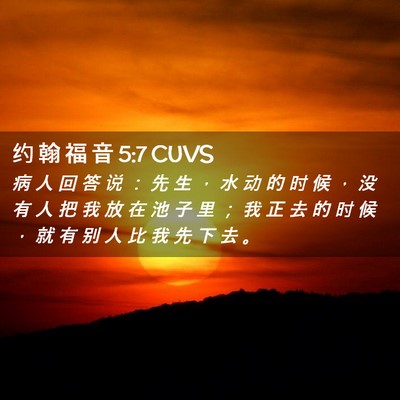 Picture 02 - 约 翰 福 音 5:7 CUVS - 病 人 回 答 说 ： 先 生 ， 水 动 的 - Bible Verse Picture