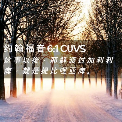 Picture 02 - 约 翰 福 音 6:1 CUVS - 这 事 以 後 ， 耶 稣 渡 过 加 利 利 - Bible Verse Picture