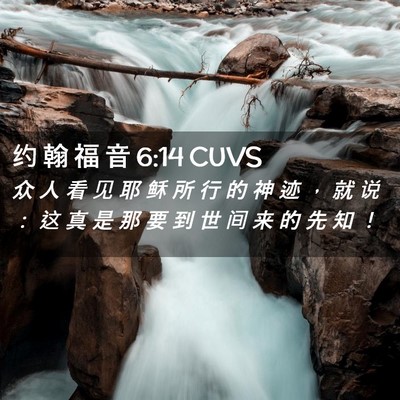 Picture 02 - 约 翰 福 音 6:14 CUVS - 众 人 看 见 耶 稣 所 行 的 神 迹 ， - Bible Verse Picture