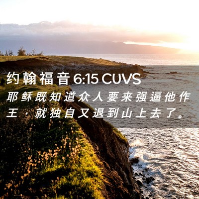 Picture 02 - 约 翰 福 音 6:15 CUVS - 耶 稣 既 知 道 众 人 要 来 强 逼 他 - Bible Verse Picture