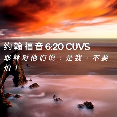 Picture 02 - 约 翰 福 音 6:20 CUVS - 耶 稣 对 他 们 说 ： 是 我 ， 不 要 - Bible Verse Picture