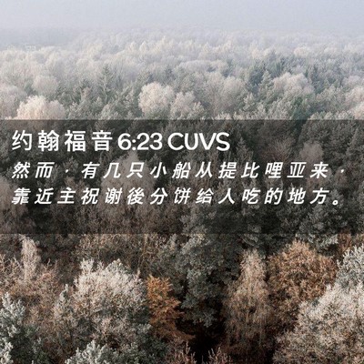 Picture 02 - 约 翰 福 音 6:23 CUVS - 然 而 ， 有 几 只 小 船 从 提 比 哩 - Bible Verse Picture