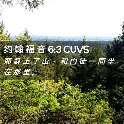 Picture 02 - 约 翰 福 音 6:3 CUVS - 耶 稣 上 了 山 ， 和 门 徒 一 同 坐 - Bible Verse Picture