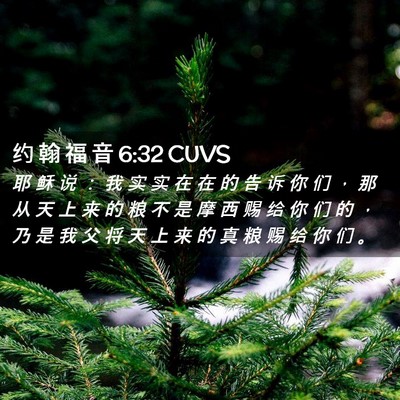 Picture 02 - 约 翰 福 音 6:32 CUVS - 耶 稣 说 ： 我 实 实 在 在 的 告 诉 - Bible Verse Picture