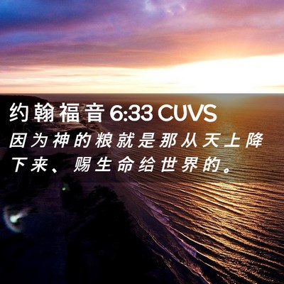 Picture 02 - 约 翰 福 音 6:33 CUVS - 因 为 神 的 粮 就 是 那 从 天 上 降 - Bible Verse Picture