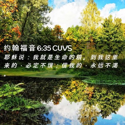 Picture 02 - 约 翰 福 音 6:35 CUVS - 耶 稣 说 ： 我 就 是 生 命 的 粮 。 - Bible Verse Picture