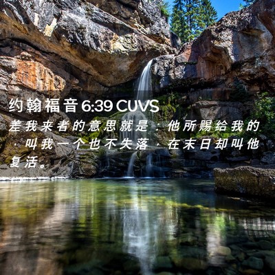 Picture 02 - 约 翰 福 音 6:39 CUVS - 差 我 来 者 的 意 思 就 是 ： 他 所 - Bible Verse Picture