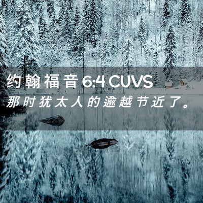 Picture 02 - 约 翰 福 音 6:4 CUVS - 那 时 犹 太 人 的 逾 越 节 近 了 - Bible Verse Picture