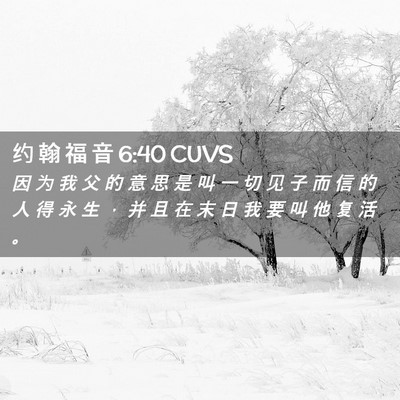 Picture 02 - 约 翰 福 音 6:40 CUVS - 因 为 我 父 的 意 思 是 叫 一 切 见 - Bible Verse Picture