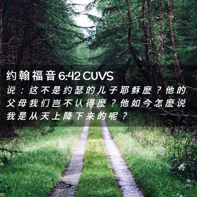 Picture 02 - 约 翰 福 音 6:42 CUVS - 说 ： 这 不 是 约 瑟 的 儿 子 耶 稣 - Bible Verse Picture