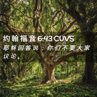 Picture 02 - 约 翰 福 音 6:43 CUVS - 耶 稣 回 答 说 ： 你 们 不 要 大 家 - Bible Verse Picture