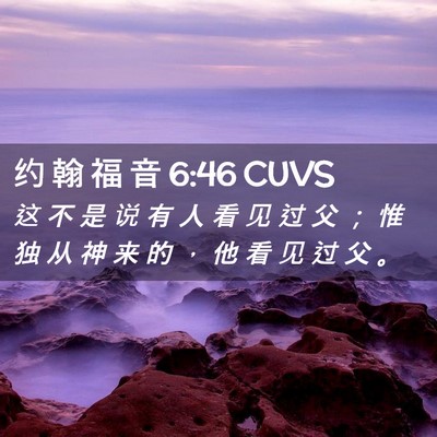 Picture 02 - 约 翰 福 音 6:46 CUVS - 这 不 是 说 有 人 看 见 过 父 ； 惟 - Bible Verse Picture