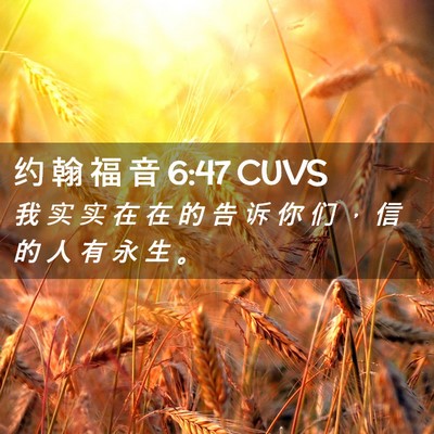 Picture 02 - 约 翰 福 音 6:47 CUVS - 我 实 实 在 在 的 告 诉 你 们 ， 信 - Bible Verse Picture