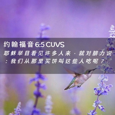 Picture 02 - 约 翰 福 音 6:5 CUVS - 耶 稣 举 目 看 见 许 多 人 来 ， 就 - Bible Verse Picture