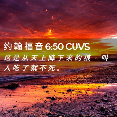 Picture 02 - 约 翰 福 音 6:50 CUVS - 这 是 从 天 上 降 下 来 的 粮 ， 叫 - Bible Verse Picture