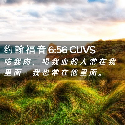 Picture 02 - 约 翰 福 音 6:56 CUVS - 吃 我 肉 、 喝 我 血 的 人 常 在 我 - Bible Verse Picture