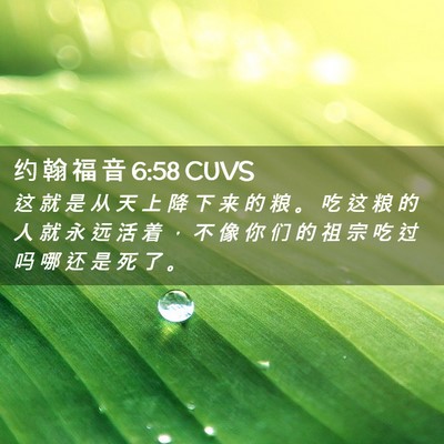 Picture 02 - 约 翰 福 音 6:58 CUVS - 这 就 是 从 天 上 降 下 来 的 粮 。 - Bible Verse Picture