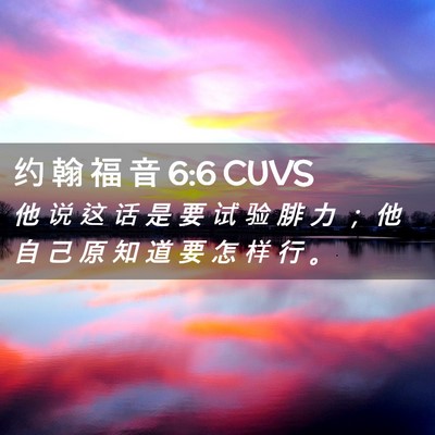 Picture 02 - 约 翰 福 音 6:6 CUVS - 他 说 这 话 是 要 试 验 腓 力 ； 他 - Bible Verse Picture