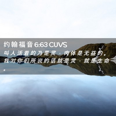 Picture 02 - 约 翰 福 音 6:63 CUVS - 叫 人 活 着 的 乃 是 灵 ， 肉 体 是 - Bible Verse Picture