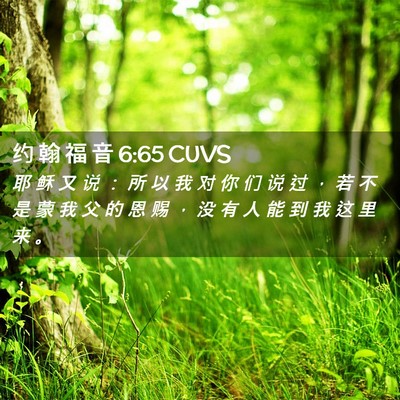 Picture 02 - 约 翰 福 音 6:65 CUVS - 耶 稣 又 说 ： 所 以 我 对 你 们 说 - Bible Verse Picture