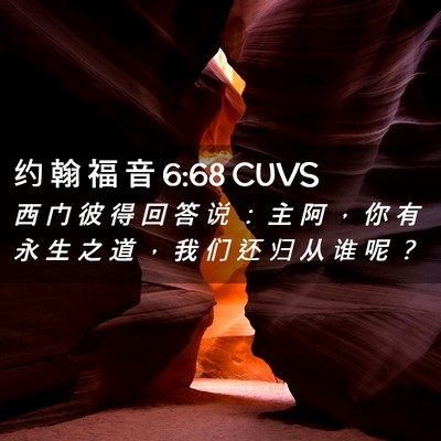 Picture 02 - 约 翰 福 音 6:68 CUVS - 西 门 彼 得 回 答 说 ： 主 阿 ， 你 - Bible Verse Picture