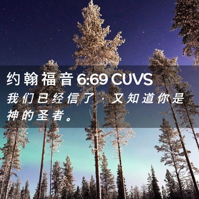 Picture 02 - 约 翰 福 音 6:69 CUVS - 我 们 已 经 信 了 ， 又 知 道 你 是 - Bible Verse Picture