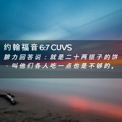 Picture 02 - 约 翰 福 音 6:7 CUVS - 腓 力 回 答 说 ： 就 是 二 十 两 银 - Bible Verse Picture
