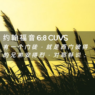 Picture 02 - 约 翰 福 音 6:8 CUVS - 有 一 个 门 徒 ， 就 是 西 门 彼 得 - Bible Verse Picture
