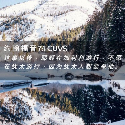 Picture 02 - 约 翰 福 音 7:1 CUVS - 这 事 以 後 ， 耶 稣 在 加 利 利 游 - Bible Verse Picture