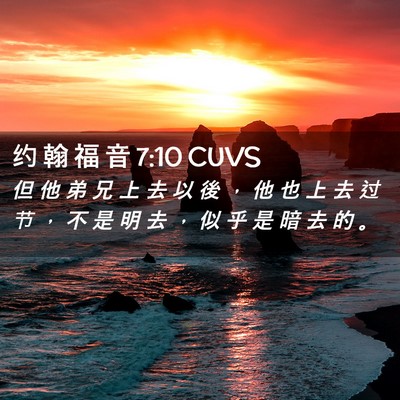Picture 02 - 约 翰 福 音 7:10 CUVS - 但 他 弟 兄 上 去 以 後 ， 他 也 上 - Bible Verse Picture