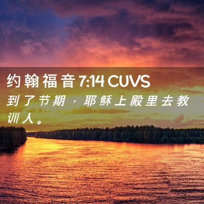 Picture 02 - 约 翰 福 音 7:14 CUVS - 到 了 节 期 ， 耶 稣 上 殿 里 去 教 - Bible Verse Picture