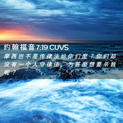 Picture 02 - 约 翰 福 音 7:19 CUVS - 摩 西 岂 不 是 传 律 法 给 你 们 麽 - Bible Verse Picture