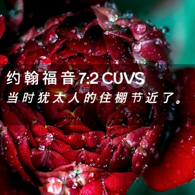 Picture 02 - 约 翰 福 音 7:2 CUVS - 当 时 犹 太 人 的 住 棚 节 近 了 - Bible Verse Picture