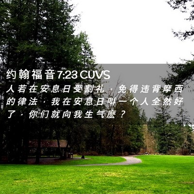 Picture 02 - 约 翰 福 音 7:23 CUVS - 人 若 在 安 息 日 受 割 礼 ， 免 得 - Bible Verse Picture