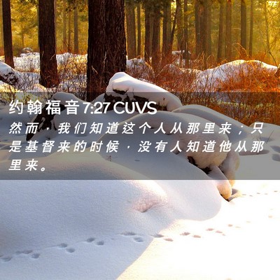 Picture 02 - 约 翰 福 音 7:27 CUVS - 然 而 ， 我 们 知 道 这 个 人 从 那 - Bible Verse Picture