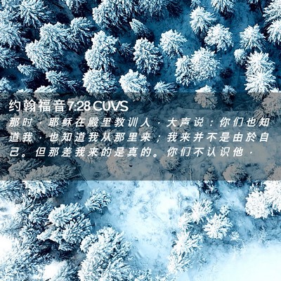 Picture 02 - 约 翰 福 音 7:28 CUVS - 那 时 ， 耶 稣 在 殿 里 教 训 人 ， - Bible Verse Picture