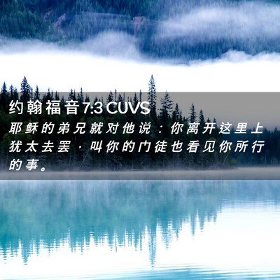 Picture 02 - 约 翰 福 音 7:3 CUVS - 耶 稣 的 弟 兄 就 对 他 说 ： 你 离 - Bible Verse Picture