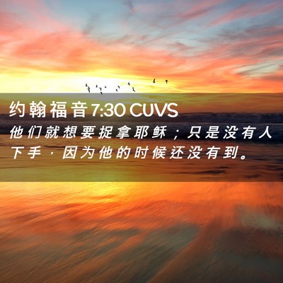 Picture 02 - 约 翰 福 音 7:30 CUVS - 他 们 就 想 要 捉 拿 耶 稣 ； 只 是 - Bible Verse Picture