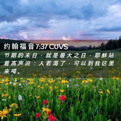 Picture 02 - 约 翰 福 音 7:37 CUVS - 节 期 的 末 日 ， 就 是 最 大 之 日 - Bible Verse Picture